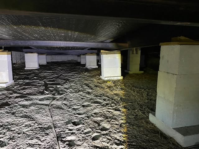 Michael's Termite & Pest Control work photo &mdash; The Villages & Ocala, Florida