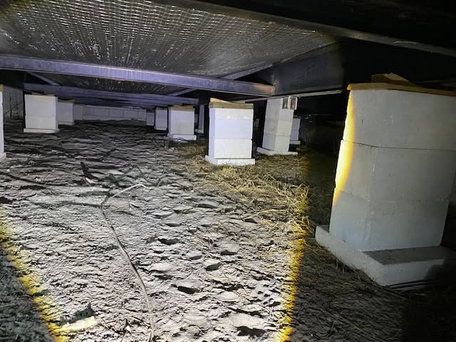 Michael's Termite & Pest Control work photo &mdash; The Villages & Ocala, Florida