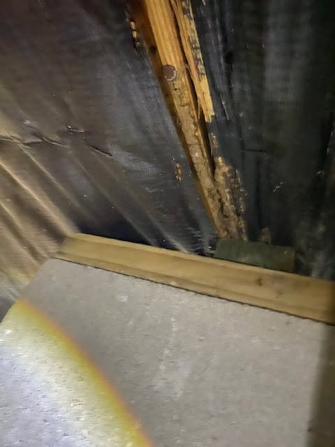 Michael's Termite & Pest Control work photo &mdash; The Villages & Ocala, Florida