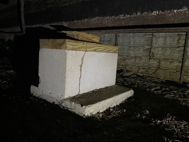 Michael's Termite & Pest Control work photo &mdash; The Villages & Ocala, Florida
