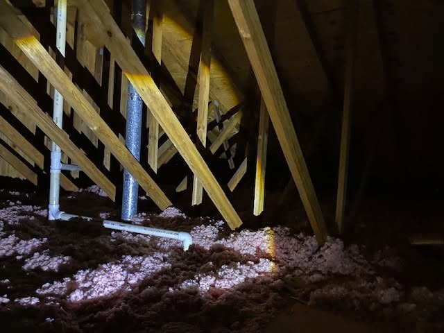 Michael's Termite & Pest Control work photo &mdash; The Villages & Ocala, Florida
