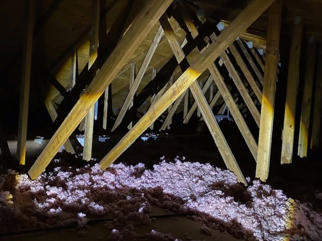 Michael's Termite & Pest Control work photo &mdash; The Villages & Ocala, Florida